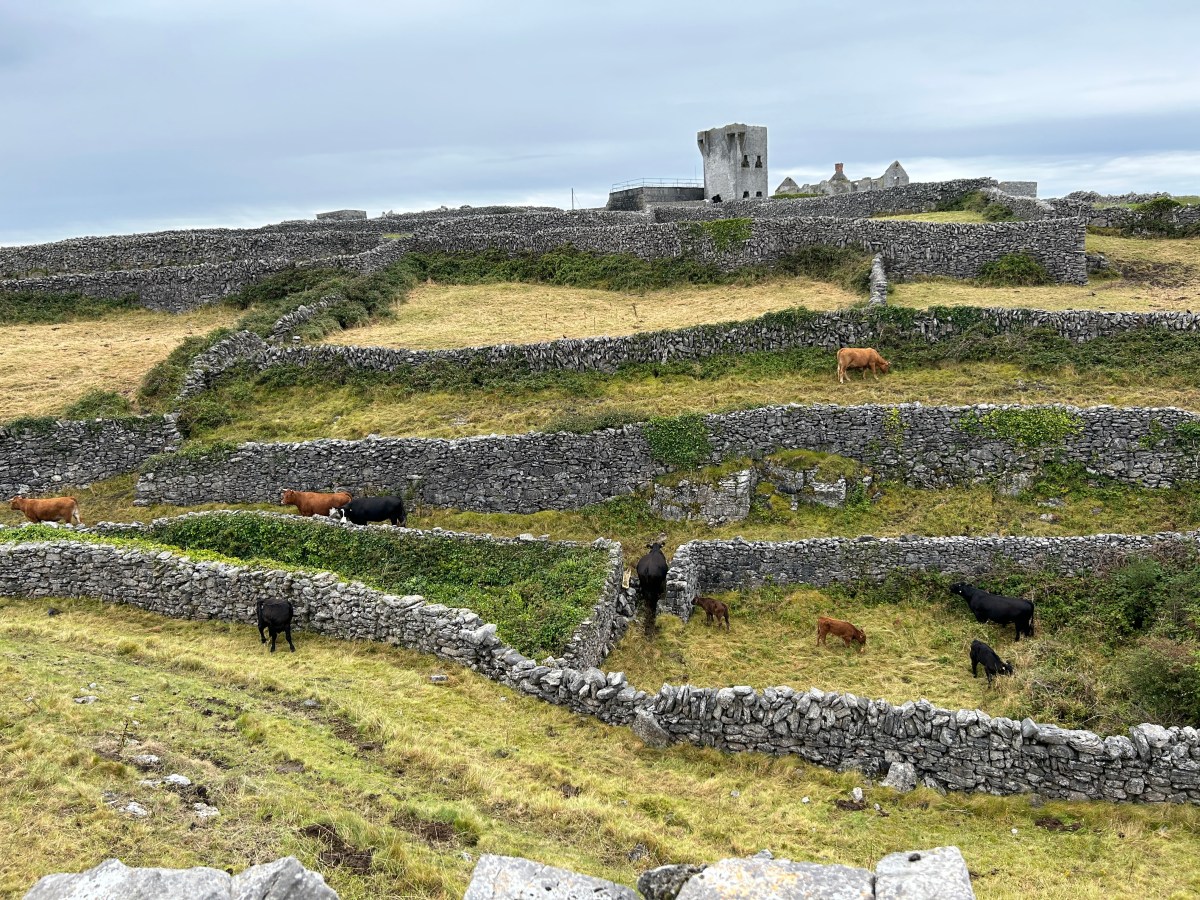 Wall Street of Inisheer and more at the Aran Islands