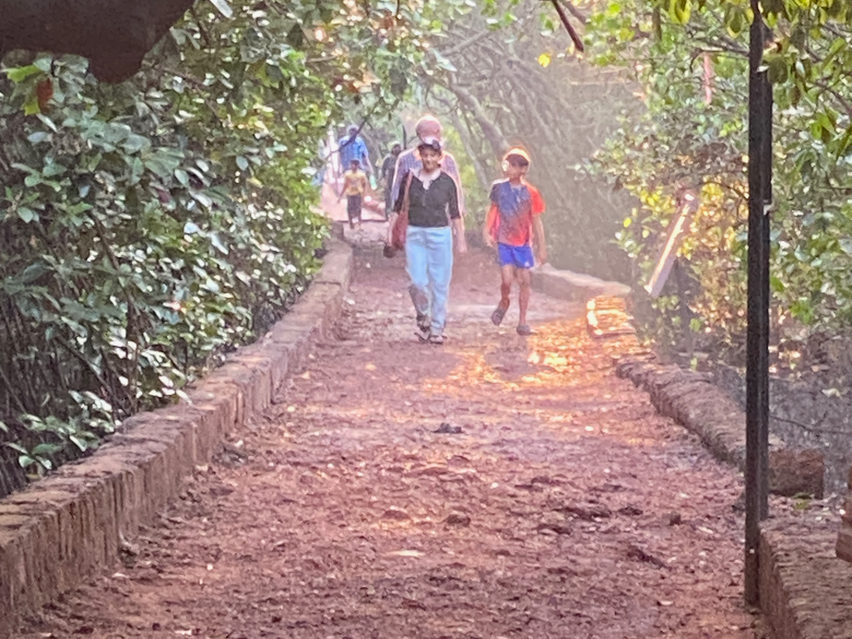 Roots in Goa: the island of Chorão